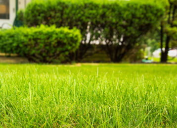 Home Lawncare